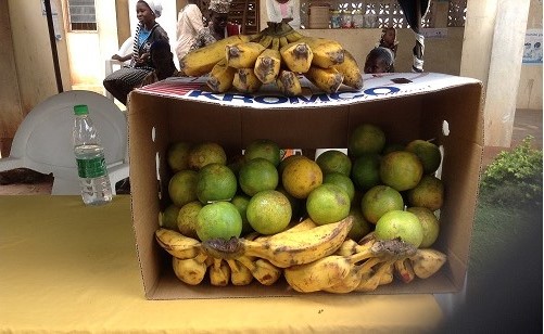 Nutrition education